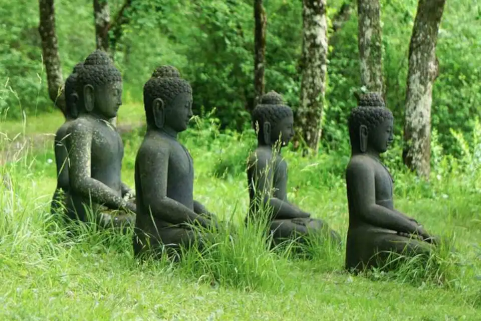 mindfulness-meditación